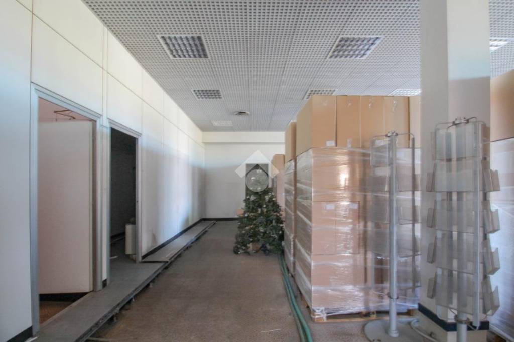 immagine annuncio 6 di 12