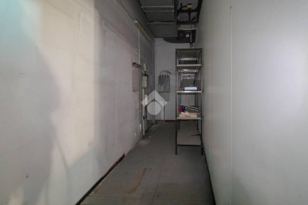 immagine annuncio 7 di 12