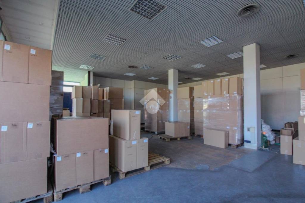 immagine annuncio 10 di 12