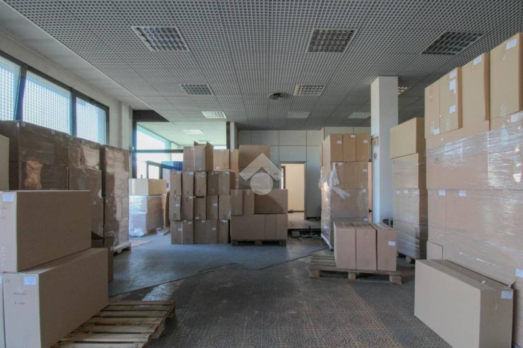 immagine annuncio 11 di 12