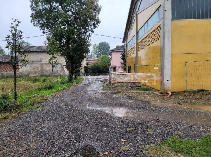 immagine annuncio 5 di 9