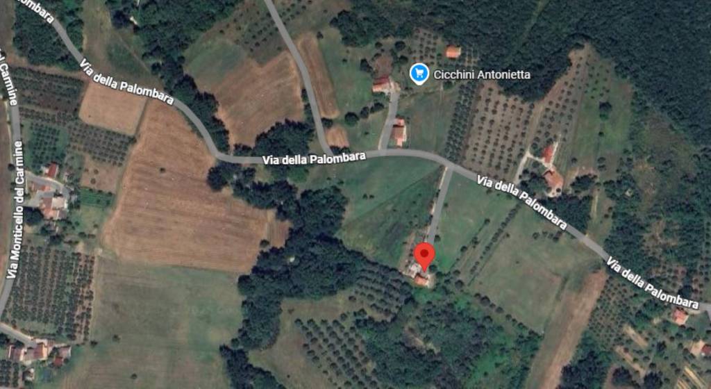 immagine annuncio 9 di 10