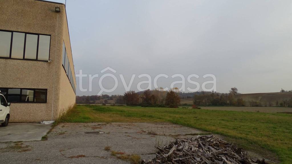 immagine annuncio 3 di 8