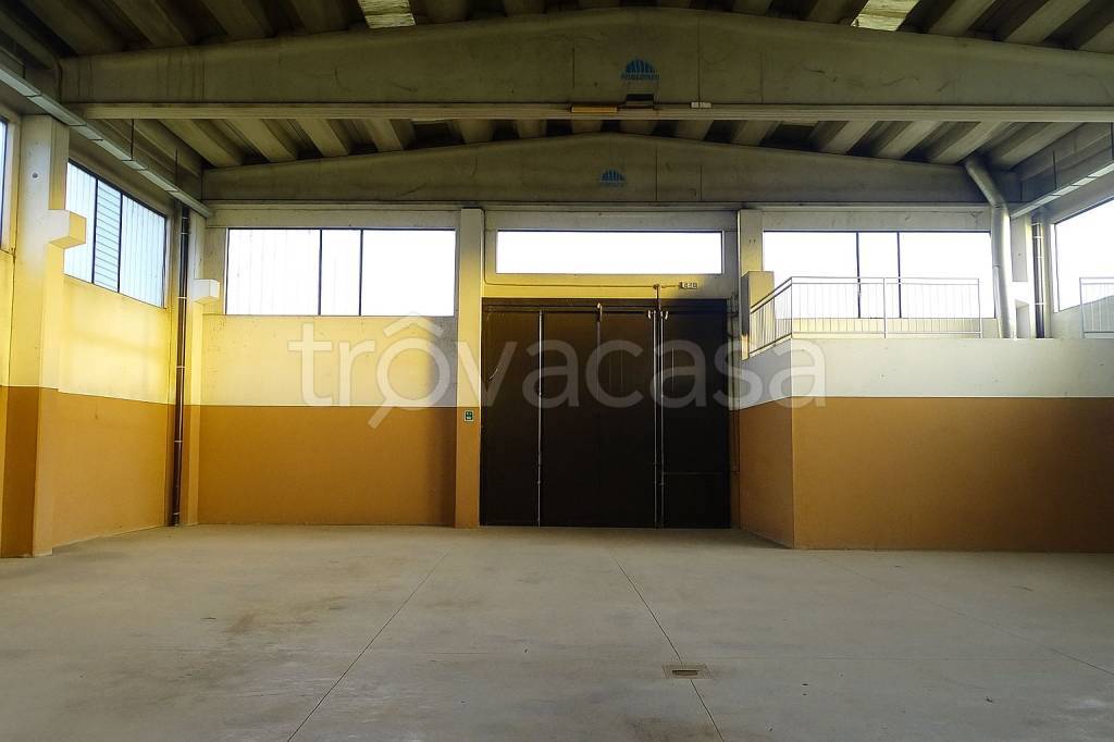 immagine annuncio 7 di 8