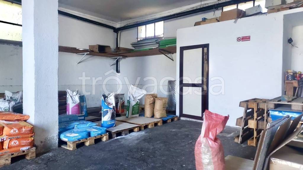 immagine annuncio 5 di 13