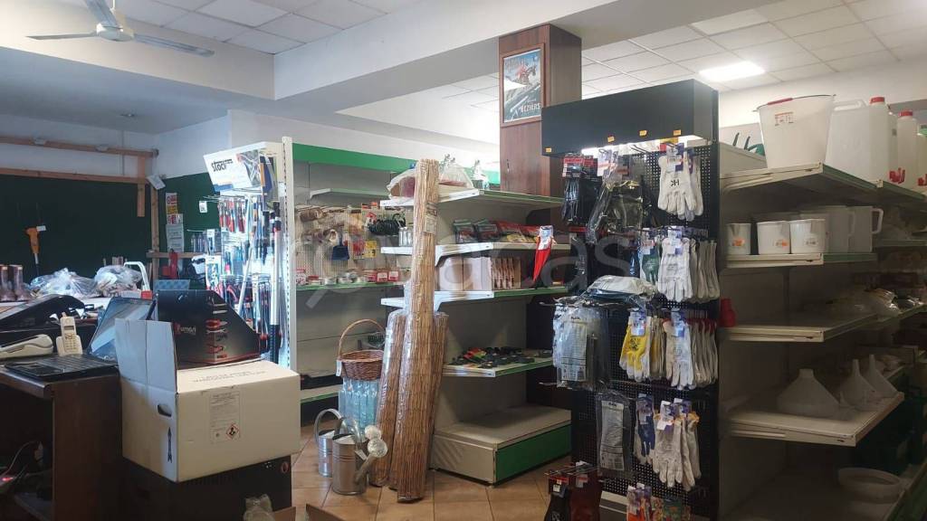 immagine annuncio 9 di 13