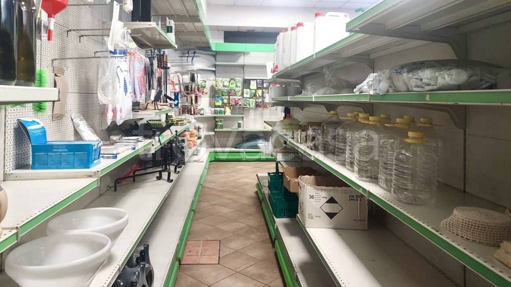 immagine annuncio 10 di 13