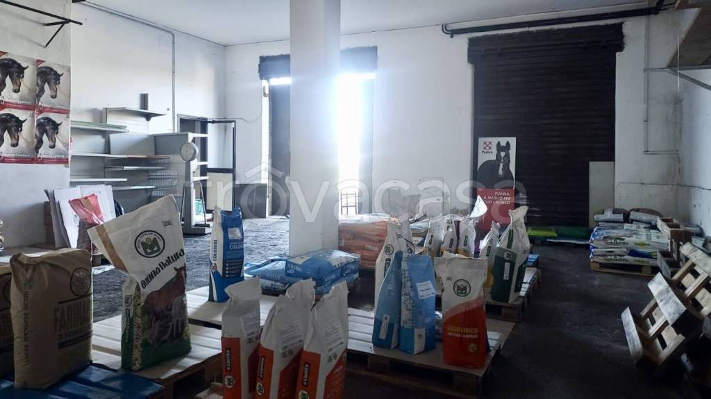 immagine annuncio 11 di 13