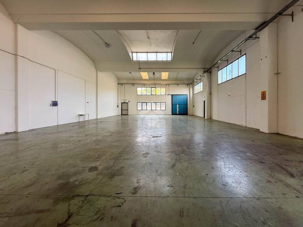 immagine annuncio 1 di 12