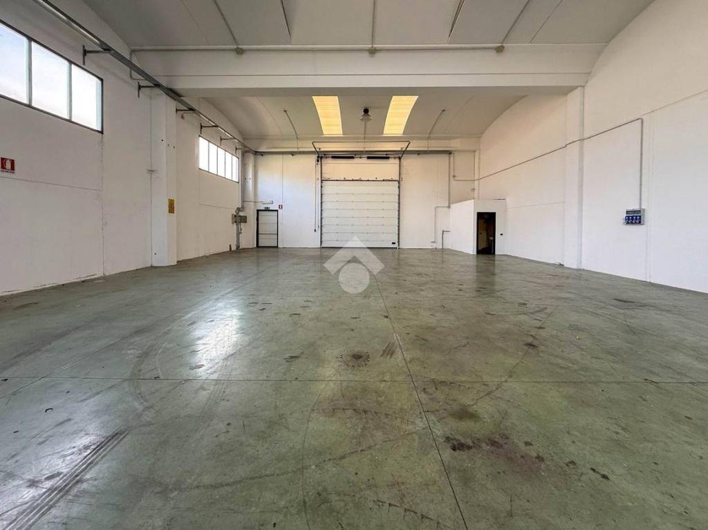 immagine annuncio 2 di 12