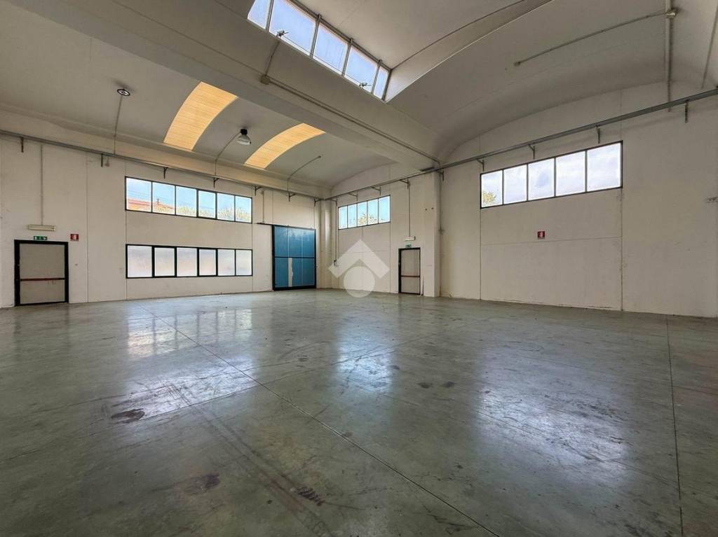 immagine annuncio 3 di 12