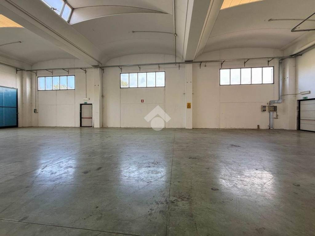 immagine annuncio 4 di 12