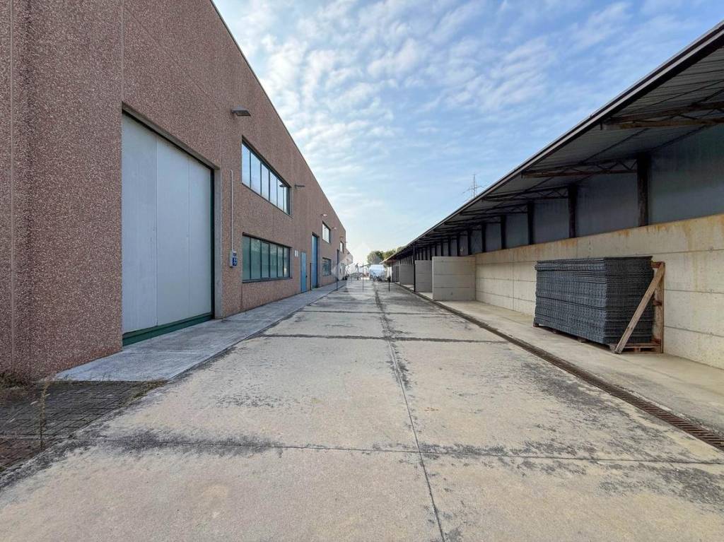 immagine annuncio 5 di 12