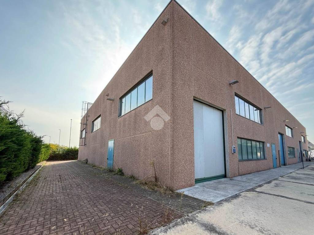 immagine annuncio 6 di 12