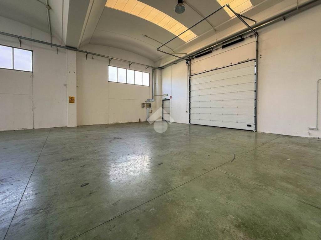 immagine annuncio 7 di 12