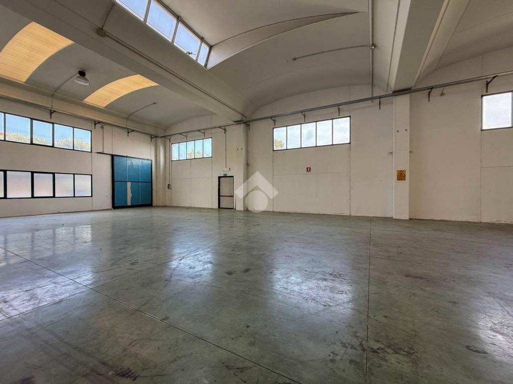 immagine annuncio 8 di 12