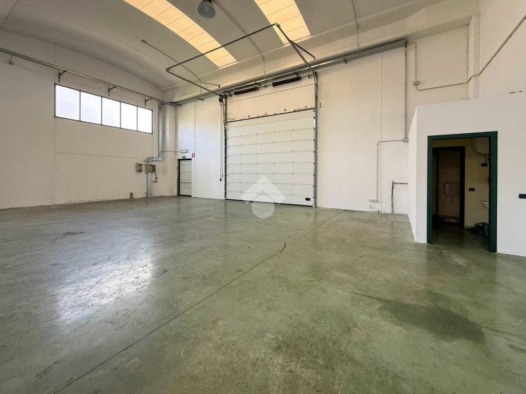 immagine annuncio 9 di 12