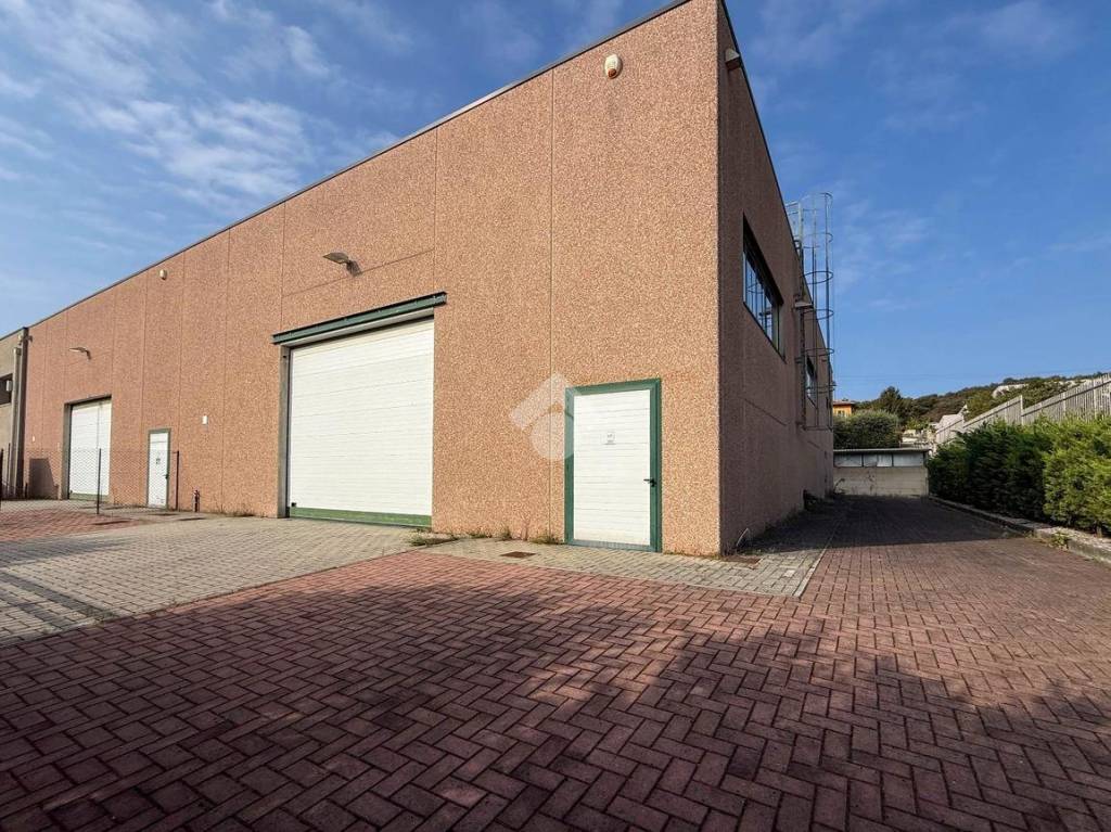 immagine annuncio 11 di 12