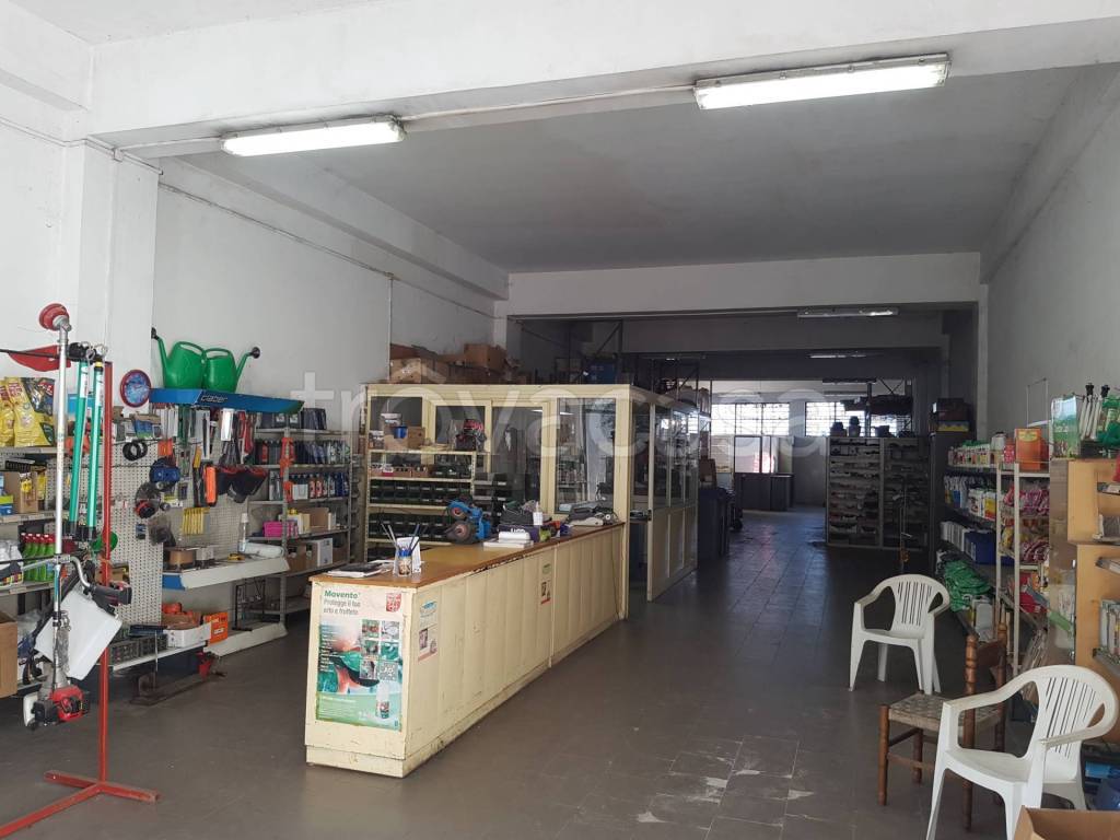 immagine annuncio 1 di 9