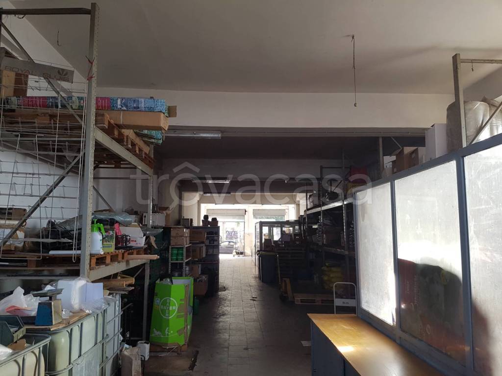 immagine annuncio 2 di 9