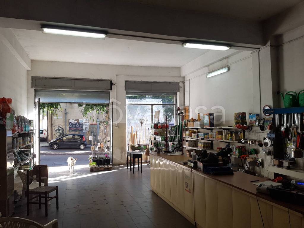 immagine annuncio 3 di 9