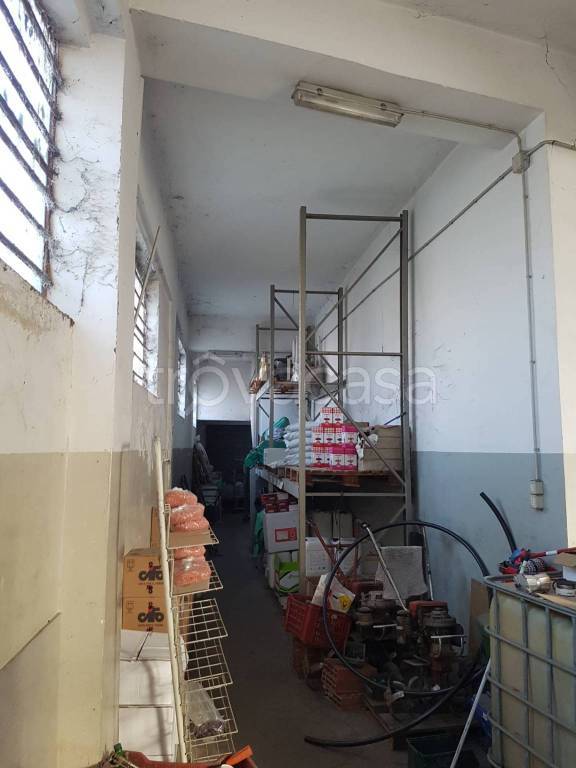 immagine annuncio 4 di 9