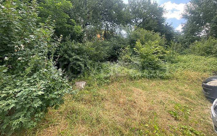 immagine annuncio 2 di 7