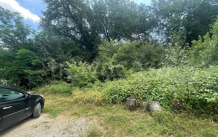 immagine annuncio 3 di 7