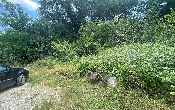 immagine annuncio 4 di 7