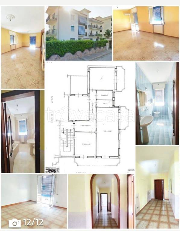 immagine annuncio 5 di 12