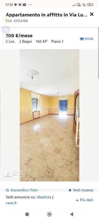 immagine annuncio 11 di 12