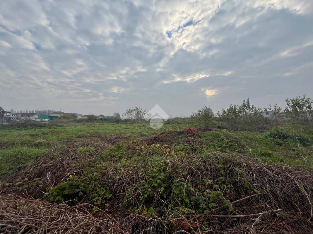 immagine annuncio 1 di 6