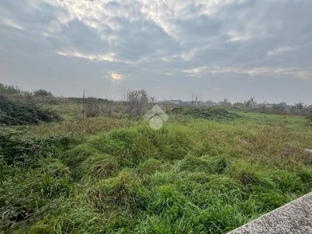 immagine annuncio 2 di 6