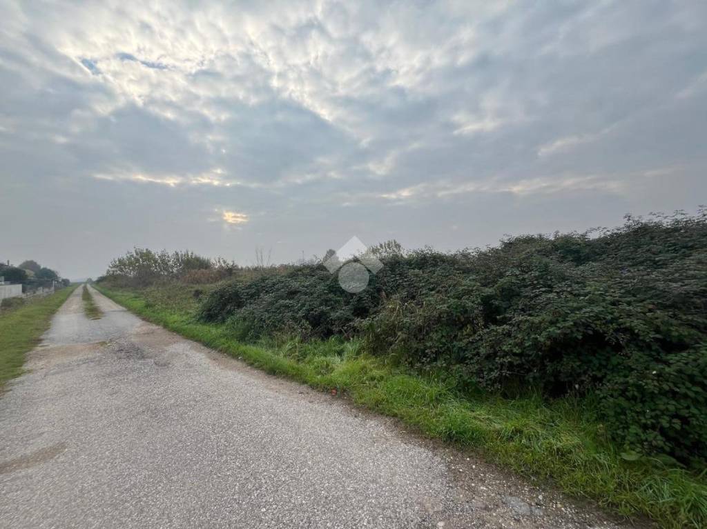 immagine annuncio 3 di 6