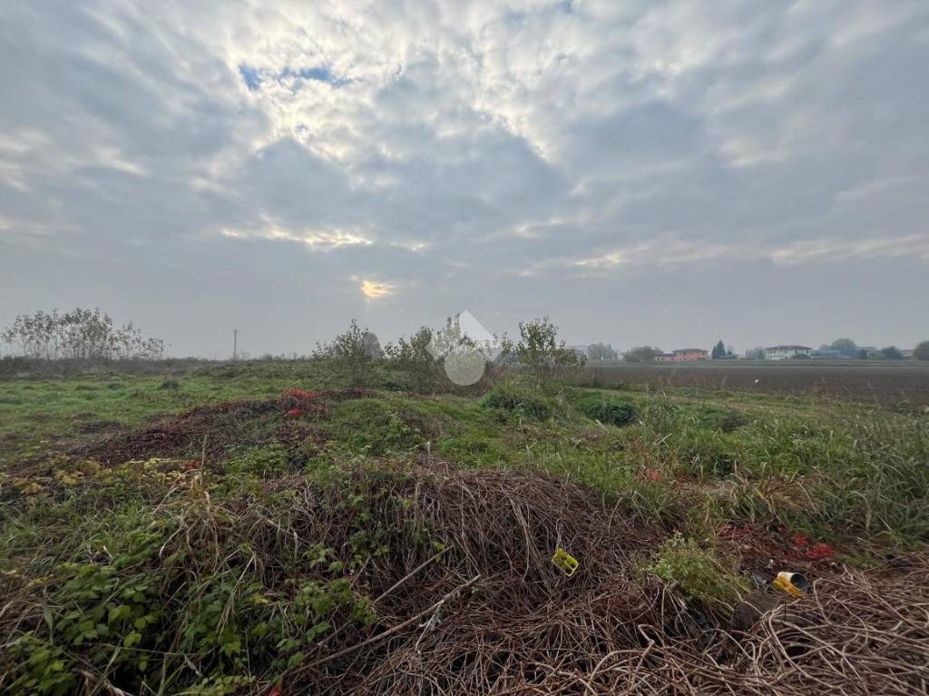 immagine annuncio 4 di 6