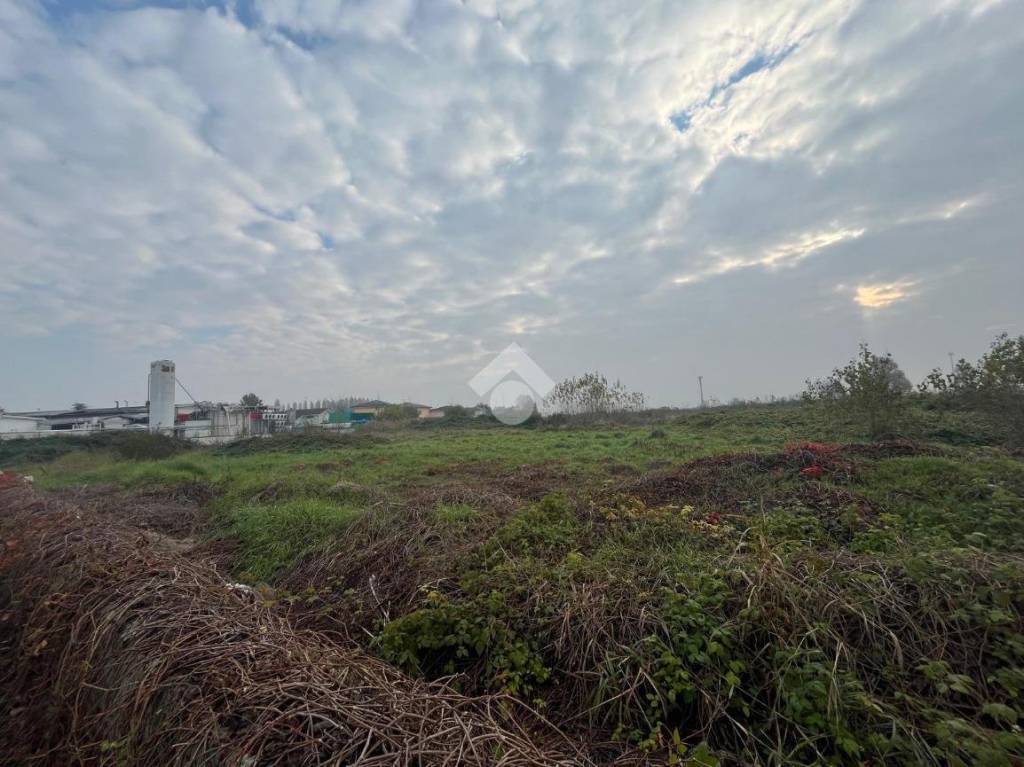 immagine annuncio 5 di 6