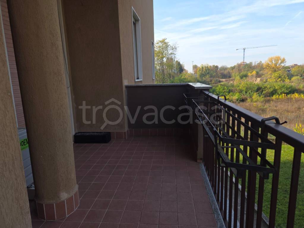 immagine annuncio 9 di 15