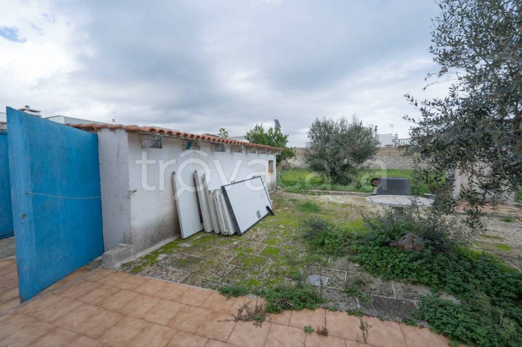 immagine annuncio 9 di 14