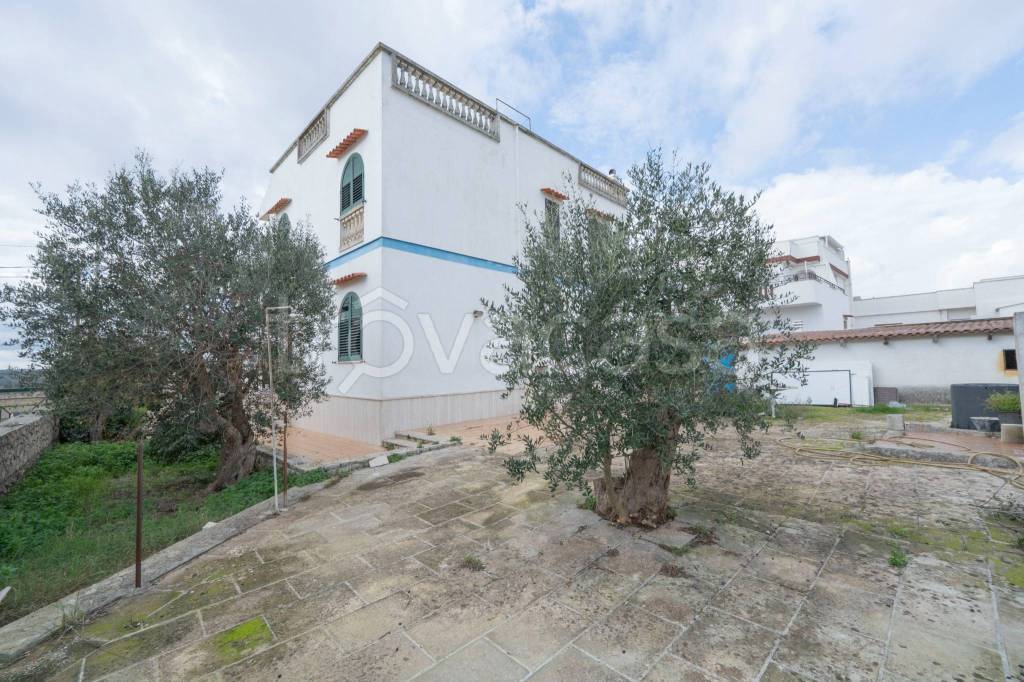 immagine annuncio 10 di 14