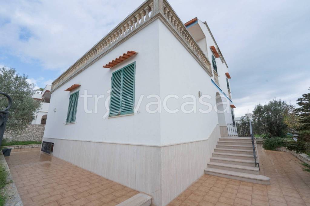 immagine annuncio 11 di 14