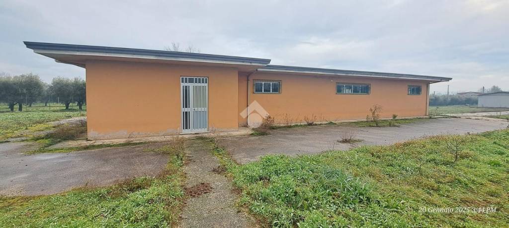 immagine annuncio 3 di 5