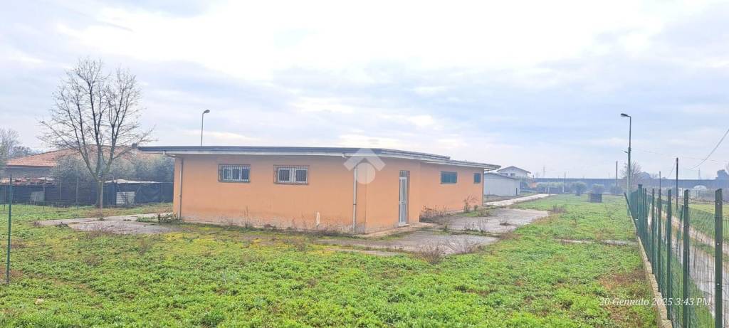 immagine annuncio 4 di 5