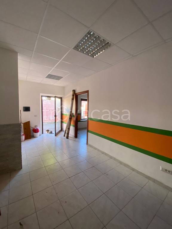 immagine annuncio 1 di 7