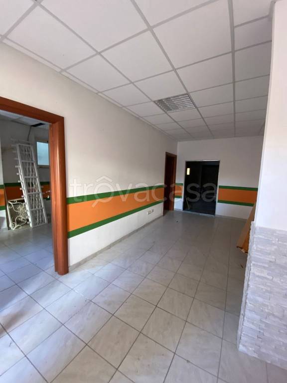 immagine annuncio 3 di 7