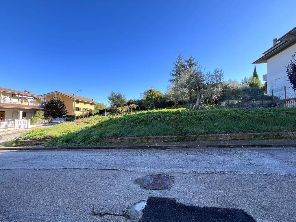 immagine annuncio 5 di 12