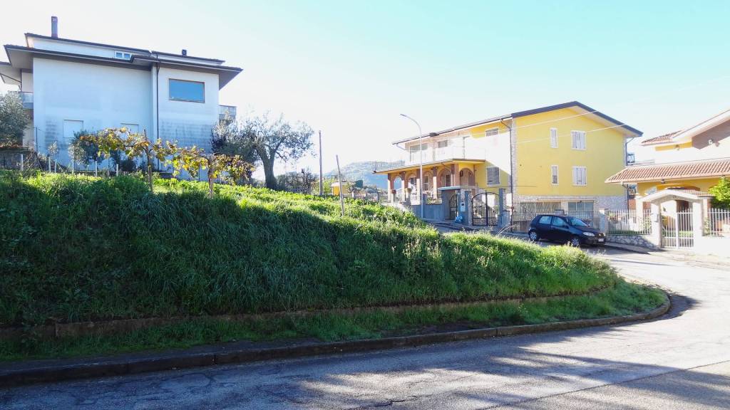 immagine annuncio 6 di 12