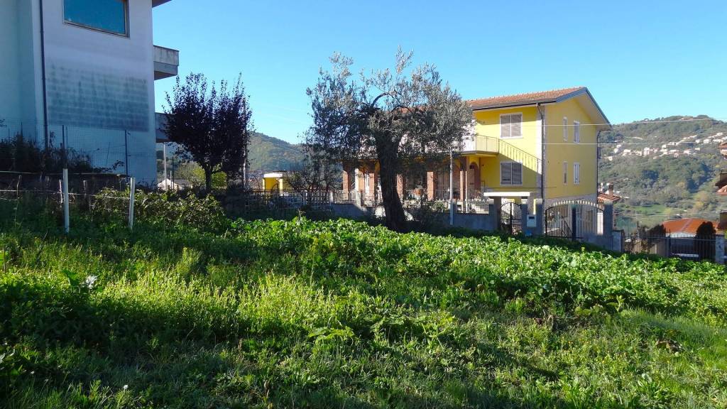 immagine annuncio 10 di 12