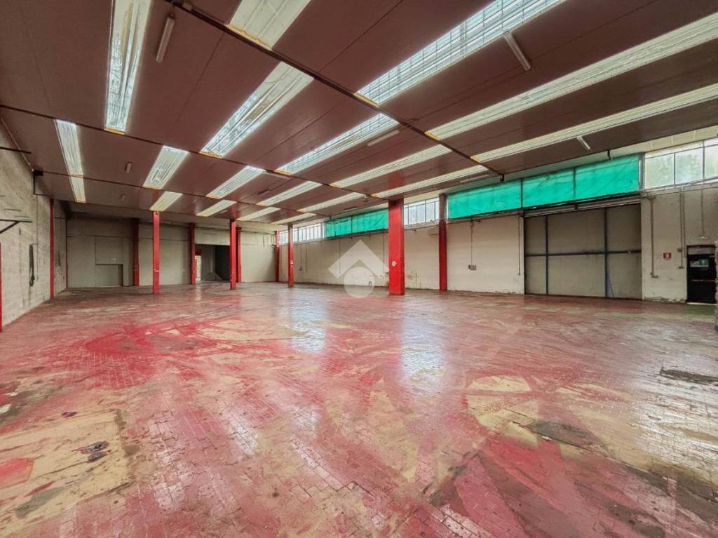 immagine annuncio 1 di 15