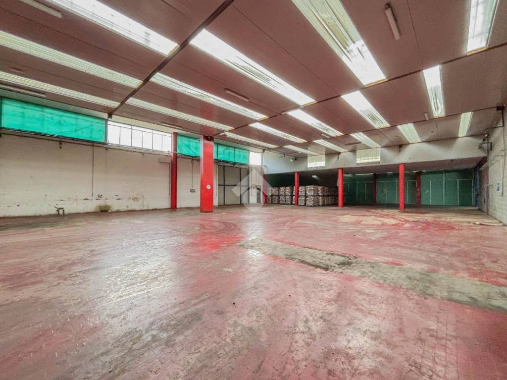 immagine annuncio 6 di 15