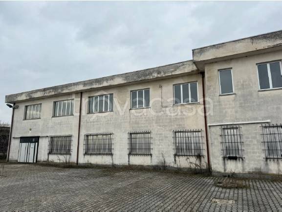 immagine annuncio 2 di 9